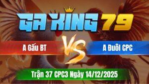 Trận 37 CPC3 Ngày 14/12/2025 - Xanh chà như máy khâu đỏ né đâu cũng chết