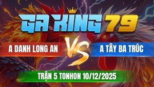 Trận 5 TonHon 10/12/2025 - Điều Anh Tây Lụm Xổ 100 Không Rớt Cọng Lông