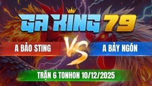 Trận 6 TonHon 10/12/2025 - Anh Bảo Sting Ra 2 Con Chạy Nguyên Cặp