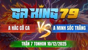 Trận 7 TonHon 10/12/2025 - Anh Hắc Hạ Anh Minh Sóc Trăng Mau Lẹ