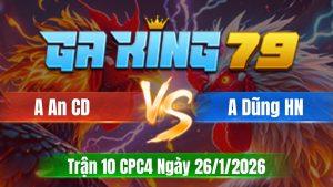 Trận 10 CPC4 Ngày 26/01/2026 - Vàng mồng trích đá bích cửa về gà điều nhanh gọn