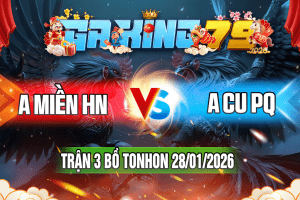 Trận 3 Tonhon 28/01/2026 – A Miền HN vs A Cu PQ