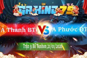 Tran 9 Tonhon 21012026