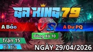 Trận 15 Xà Xía Ngày 29/04/2026 - Gà vàng may độ có chân đảo ngược tình huống về