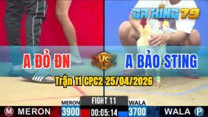 Trận 11 CPC2 25/04/2026 - Bảo Sting Thua Trận Gà Đầy Cay Đắng Chọi Luôn Gà Đi Ra Do Trọng Tài