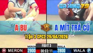 Trận 3 CPC2 29/04/2026 - Điều Chưa Thả Đá Ăn 6 Và Cái Kết Bướm Đá Nằm 1 Đống