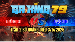 Trận 2 Hoàng Diệu 03/05/2026 – A Bảo Sting thắng nhẹ nhàng