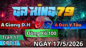 Trận 17 CPC3 Ngày 17/05/2026 - Bướm nhảy lung tung úa đá cây nhẹ nhàng thơm khói về