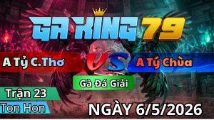 Trận 23 TonHon Ngày 06/05/2026 - Que vô nạp bị đạp cặp lọt điểm 10 đứng hình tắt