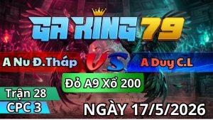 Trận 28 CPC3 Ngày 17/05/2026 - Úa hiệu bổn bang xịn may độ về bờ tang ăn 2