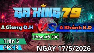 Trận 5 CPC3 Ngày 17/05/2026 - Bông ngày tàng gặp bướm đá mấy cước đem cúng
