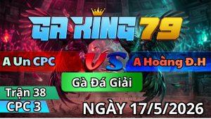 Trận 38 CPC3 Ngày 17/05/2026 - Que đá bỏ cựa nhà gà vàng đâm bệnh bang