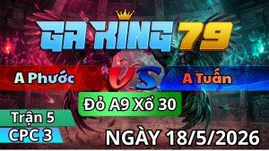 Trận 5 CPC3 Ngày 18/05/2026 - 2 con cắn cưa vô tới trong tang chìm bỏ miệng hòa