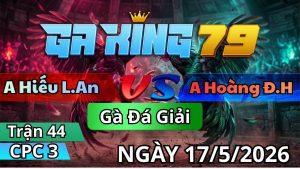 Trận 44 CPC3 Ngày 17/05/2026 - Que nết khó chịu úa vô tang bỏ miệng chạy