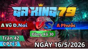 Trận 42 CPC3 Ngày 16/05/2026 - Bướm có chân lớn camelo vô ẩu ói tại chỗ chết