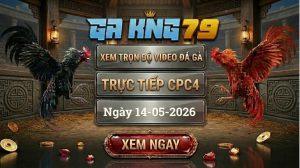 Xem Full Video Đá Gà CPC4 Ngày 14/05/2026