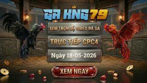 Xem Full Video Đá Gà CPC4 Ngày 18/05/2026