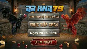 Xem Full Video Đá Gà CPC4 Ngày 20/05/2026
