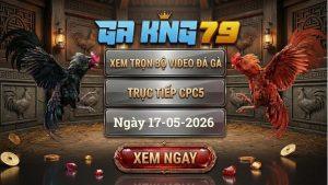 Xem Full Video Đá Gà CPC5 Ngày 17/05/2026