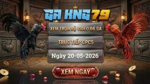 Xem Full Video Đá Gà CPC5 Ngày 20/05/2026