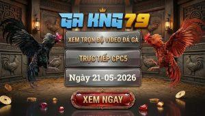 Xem Full Video Đá Gà CPC5 Ngày 21/05/2026