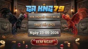 Xem Full Video Đá Gà CPC5 Ngày 23/05/2026
