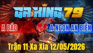 Trận 11 Xa Xia 12/05/2026 - Đỏ siết nạp cựa hay xanh gục ngã ngay tay nước đầu