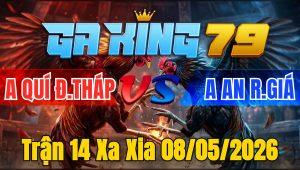 Trận 14 Xa Xia 08/05/2026 - Xám đá 10 chân bướm đá chân tính tiền liền